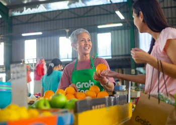 the-learning-mountain-supermercado